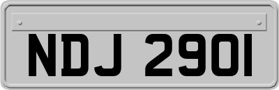 NDJ2901