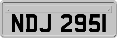 NDJ2951