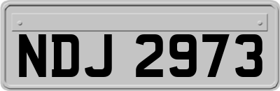 NDJ2973