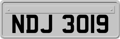 NDJ3019