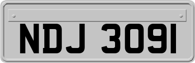 NDJ3091