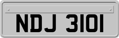 NDJ3101