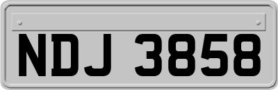 NDJ3858