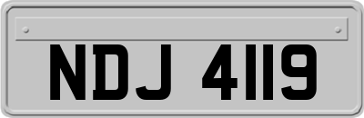 NDJ4119