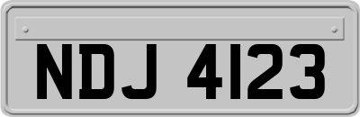 NDJ4123