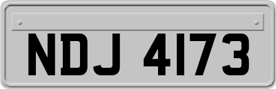 NDJ4173