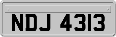 NDJ4313
