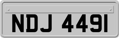 NDJ4491
