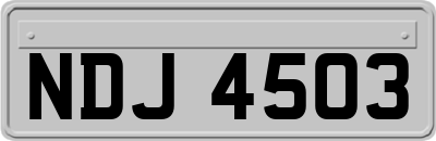 NDJ4503