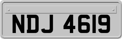 NDJ4619