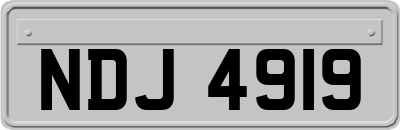 NDJ4919