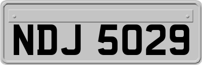 NDJ5029