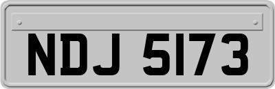 NDJ5173