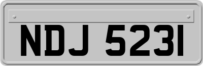 NDJ5231