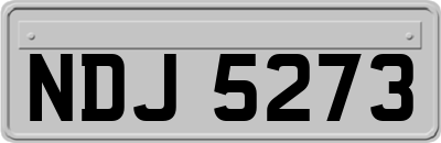 NDJ5273
