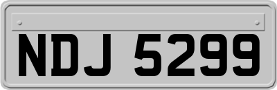 NDJ5299