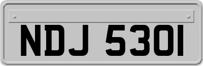 NDJ5301