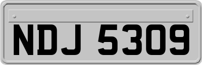 NDJ5309