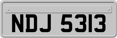 NDJ5313