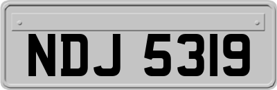 NDJ5319