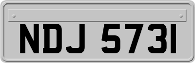 NDJ5731