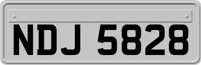 NDJ5828