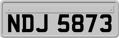 NDJ5873