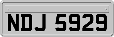 NDJ5929