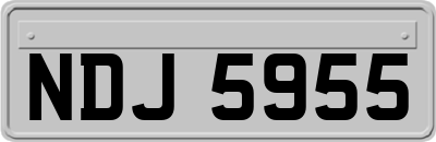 NDJ5955