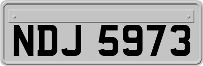 NDJ5973