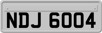 NDJ6004