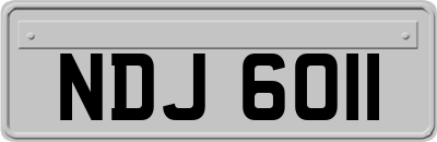 NDJ6011