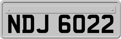 NDJ6022