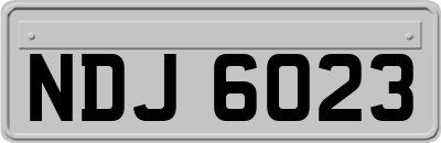 NDJ6023