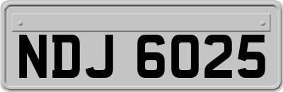 NDJ6025