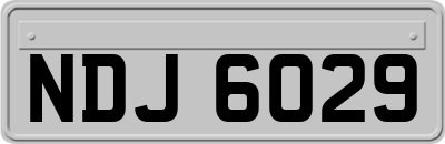 NDJ6029