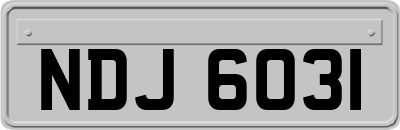 NDJ6031