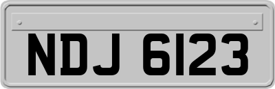 NDJ6123