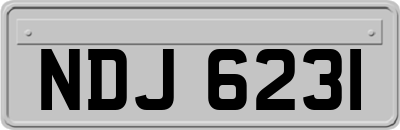 NDJ6231