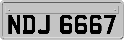 NDJ6667