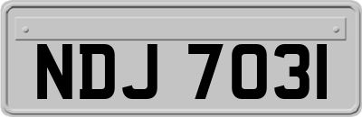 NDJ7031
