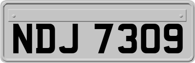 NDJ7309