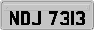 NDJ7313