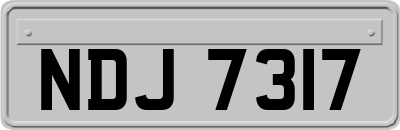 NDJ7317