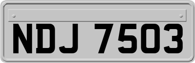 NDJ7503