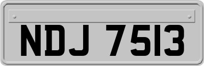 NDJ7513