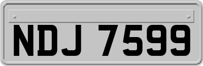 NDJ7599