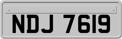 NDJ7619