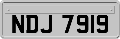 NDJ7919