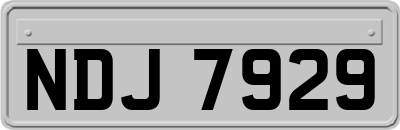 NDJ7929